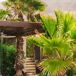 Casa Sua Pensjonat Famara