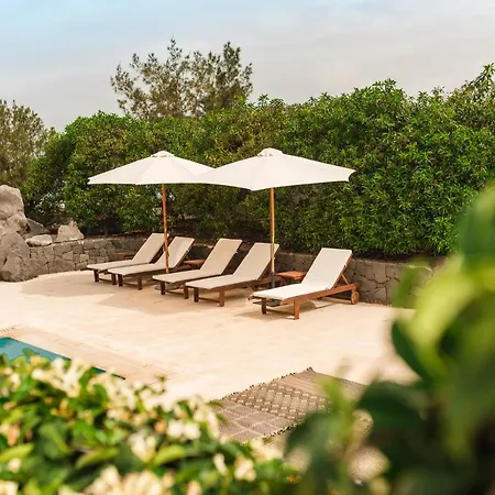 Guest house Casa Sua